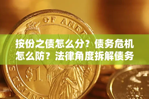 武汉按份之债怎么分？债务危机怎么防？法律角度拆解债务分配与风险自保指南