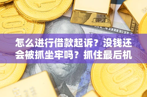 武汉怎么进行借款起诉？没钱还会被抓坐牢吗？抓住最后机会！
