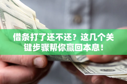 武汉借条打了还不还？这几个关键步骤帮你赢回本息！