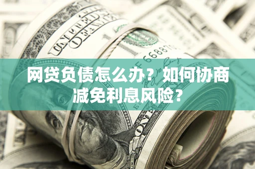 武汉网贷负债怎么办？如何协商减免利息风险？