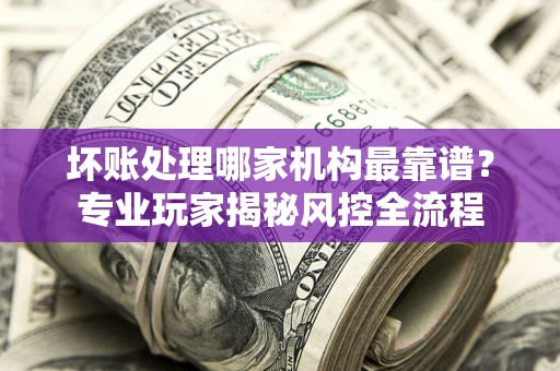 武汉坏账处理哪家机构最靠谱？专业玩家揭秘风控全流程