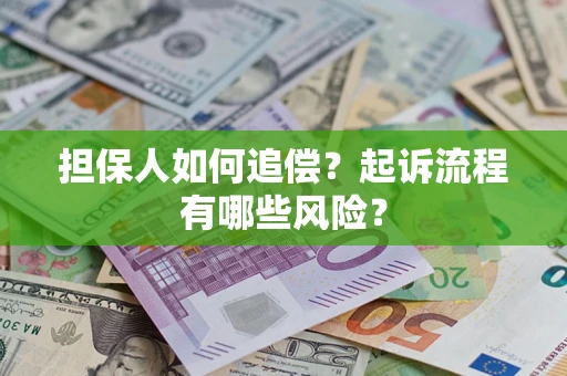 武汉担保人如何追偿？起诉流程有哪些风险？