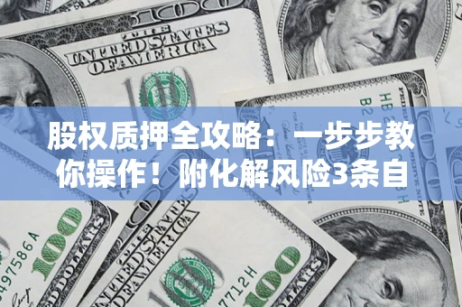 武汉股权质押全攻略：一步步教你操作！附化解风险3条自救法则
