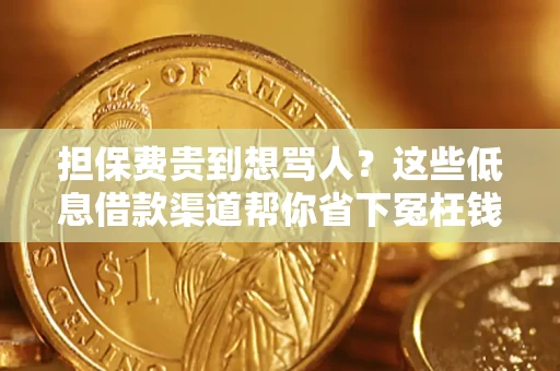 武汉担保费贵到想骂人？这些低息借款渠道帮你省下冤枉钱
