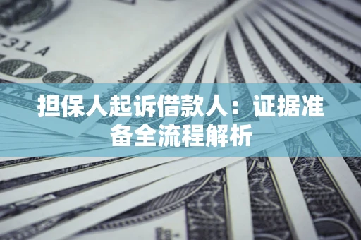 武汉担保人起诉借款人：证据准备全流程解析