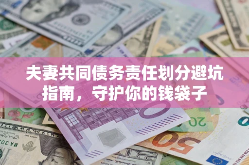 武汉夫妻共同债务责任划分避坑指南，守护你的钱袋子