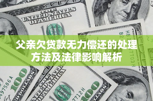 武汉父亲欠贷款无力偿还的处理方法及法律影响解析