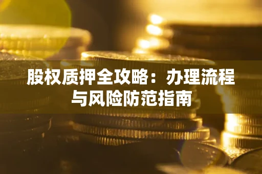 武汉股权质押全攻略：办理流程与风险防范指南