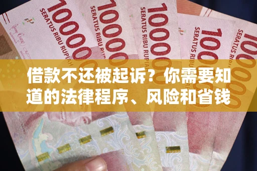 武汉借款不还被起诉？你需要知道的法律程序、风险和省钱技巧